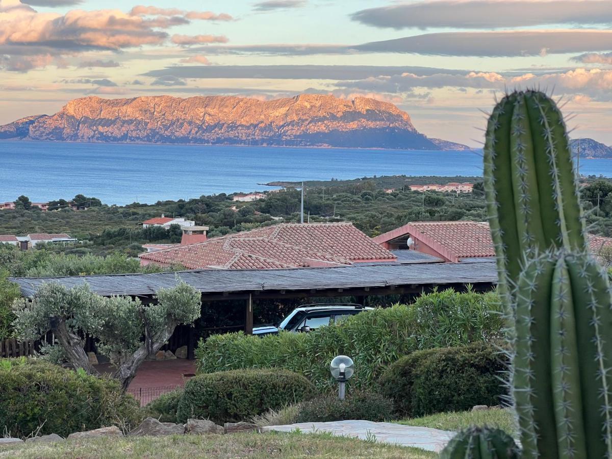 Villa A Golfo Aranci Con Vista Su Tavolara 马里内拉 外观 照片